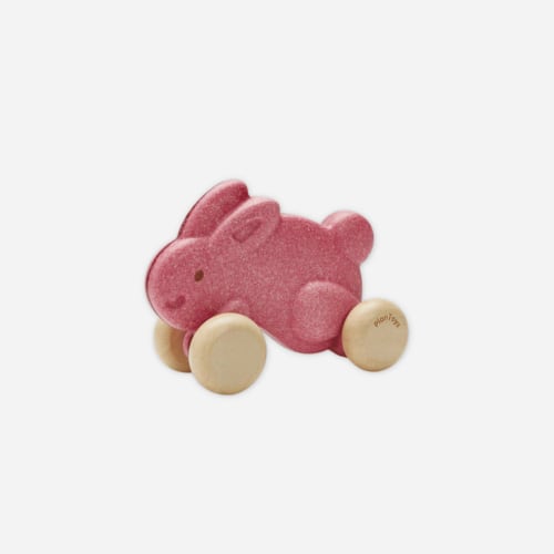 Push Along Bunny - Pink