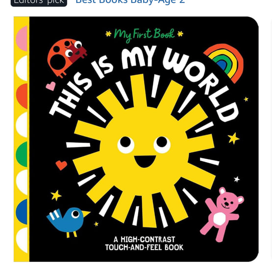This Is My World: A High-Contrast Touch-and-Feel Book (My First Book)