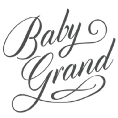 Freshly Picked Ebony Insulated Bottle Bag – Baby Grand