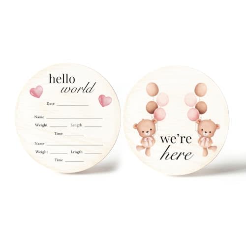 Twin Girls Birth Announcement Sign - Newborn Twins Sign - Twin Girls Baby Announcement