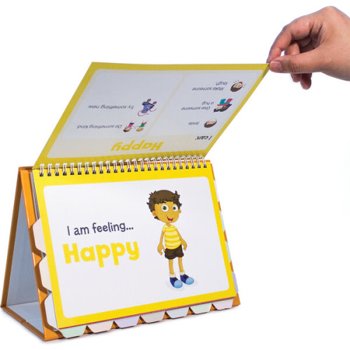 Feelings Flips for Kindergarten to 1st - Junior Learning | Maisonette