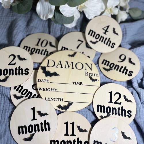 Wooden Bat Stats Sign and Monthly Milestone Discs| Baby Bat Sign| Newborn Stats Sign Bats| Baby Bat Stats Sign | Bat Monthly Milestone