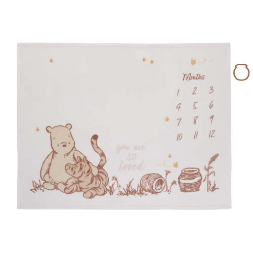 NoJo Disney Classic Winnie the Pooh Milestone Baby Blanket