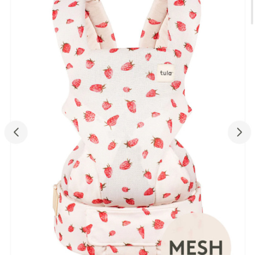 Strawberry - Mesh Explore Baby Carrier – Baby Tula US