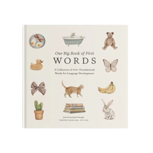 Our Big Book of First Words