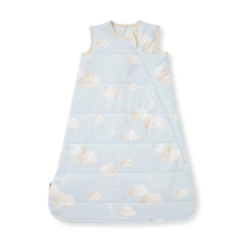 Good Night Sky Organic Warmer Beekeeper™ Wearable Baby Blanket Ice Flow