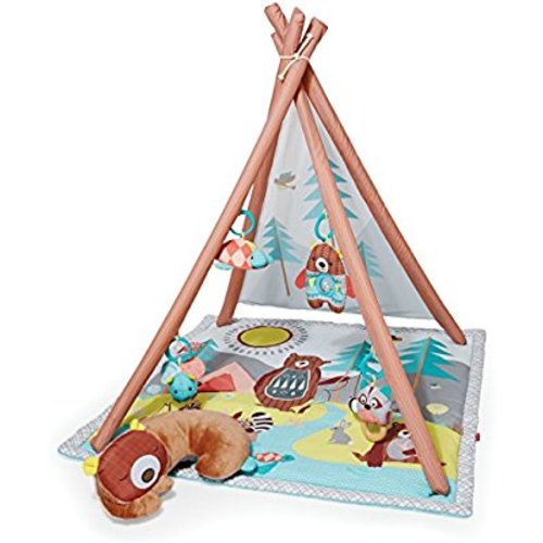 Skip Hop Baby Infant and Toddler Camping Cubs Activity Gym and Playmat, Multi