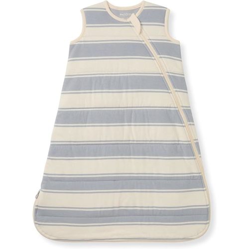 Burt's Bees Baby Unisex Newborn Essentials 100% Organic Cotton Beekeeper Wearable Blanket