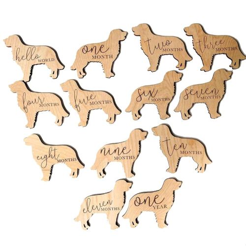 Wooden Dog Monthly Milestone Cards, Golden Retriever Baby Photo Props, Hello World to 12 Months, 7pcs 5in