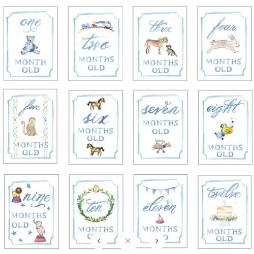 Month by Month Card Set - Default Title - Baby Bloomers
