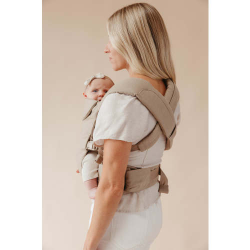 Desert Lark - Aerial Carrier