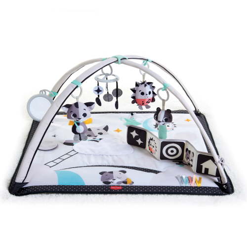 Tiny Love Magical Tales Baby Gear Infant Black & White Gymini Activity Gym, White