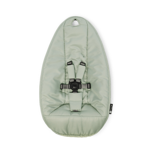 extra mamaRoo seat fabric