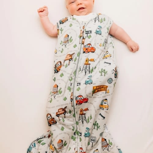 Disney Sleep Bag - Cars – Milk Snob