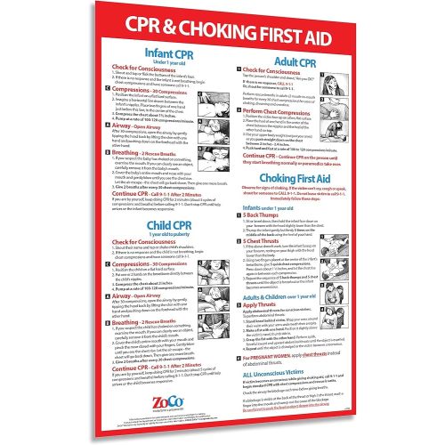 Safety Magnets CPR and Choking Posters for Infant, Child, Adult - Laminated, 12 x 18 in.