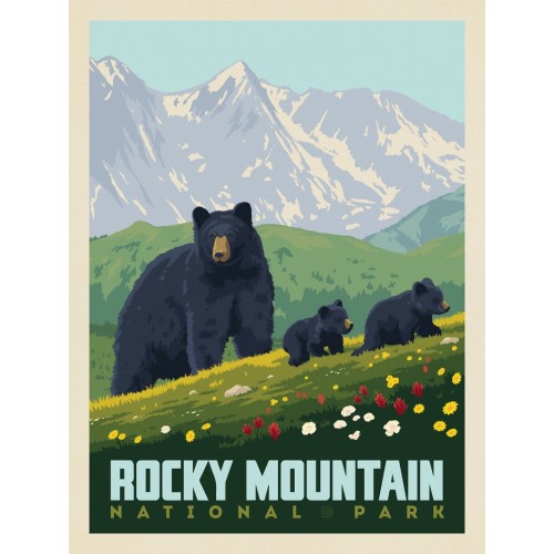 Rocky Mountain National Park: Black Bears | Anderson Design Group