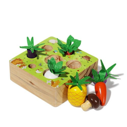 Montessori Vegetable Set