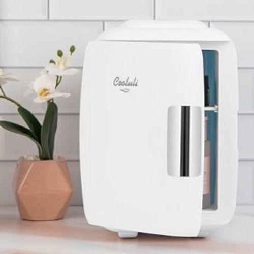 Classic 4-Liter Small Mini Fridge