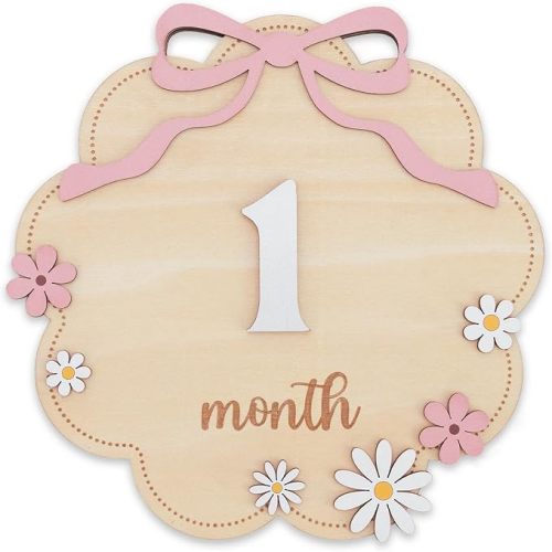 Baby Girl Monthly Milestone Sign, Newborn Photography Props, 1-12 Monthly Baby Milestone Girl, Floral Baby Girl Growth Tracker Nursery Decor