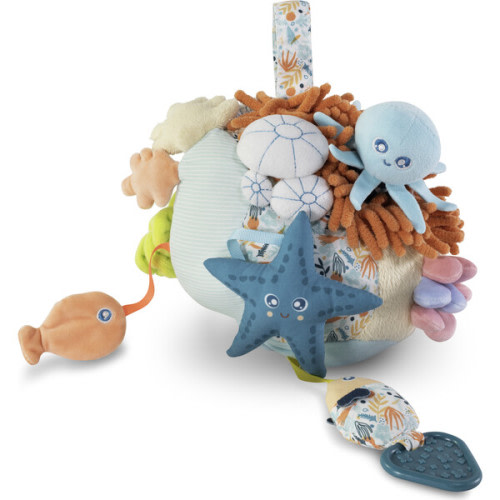 Sensorial Reef