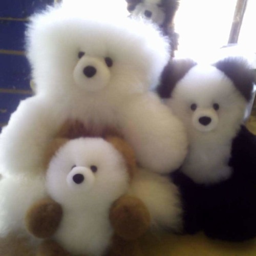 Alpaca Fur Teddy bear-cute teddy bear, peruviam alpaca wool bear 7in- 32.9dollar; 9in- 34.9 dollar; 11in -40 dollar; 13in - 50dollar; 21in