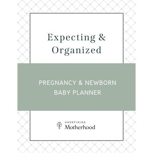 Expecting and Organized: Pregnancy & New Baby E-Planner (Download)