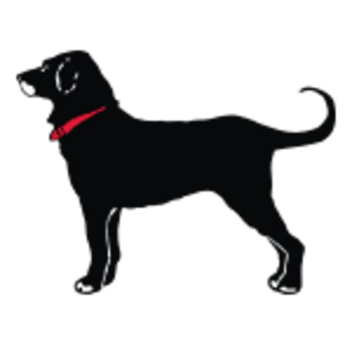 Lil Kids Mini Dog Print Onesie – The Black Dog