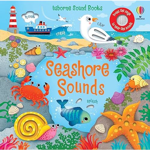Seashore Sounds (Sound Books) Board book – Touch & Feel, May 7, 2024