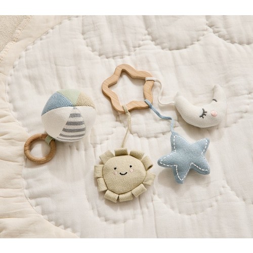 Wooden Activity Ring and Rattle Ball Set