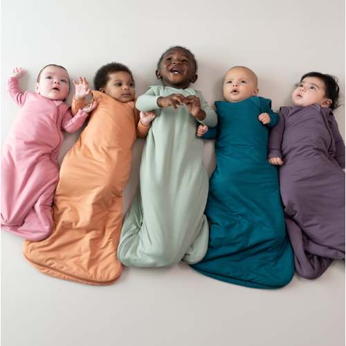Sleep Bag in Currant 1.0