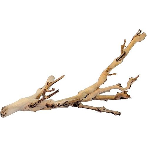 Exo Terra Forest Branch Small – Natural Wood Terrarium Decoration for Reptiles, Amphibians & Small Pets