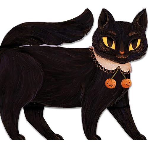 One Black Cat Board book – July 21, 2020