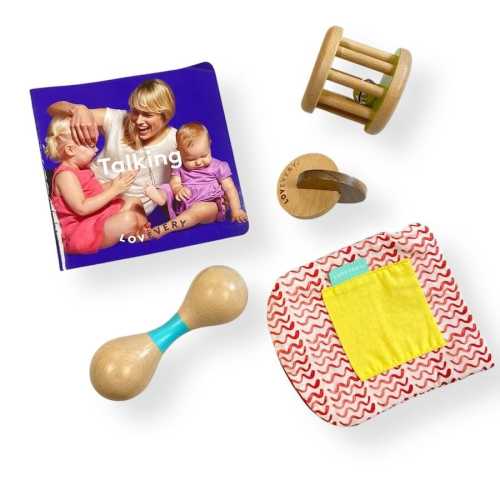 Used Lovevery Charmer Play Kit Toys