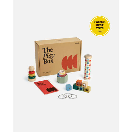 The Play Box: 9-10 Months