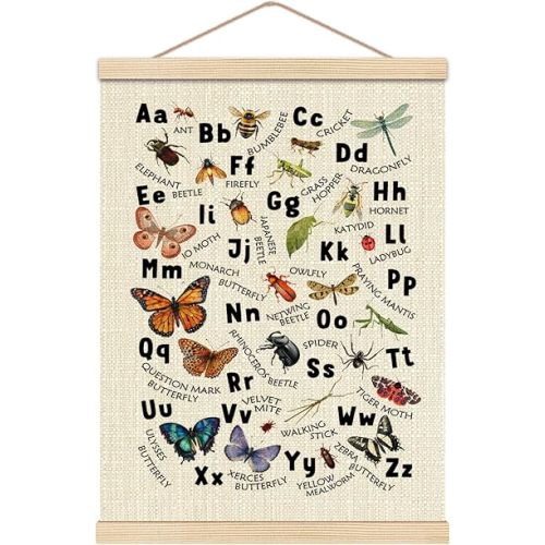 HKTZM Insect Alphabet Wall Decor, Animal Nursery Decor, Entomology Wall Art With Wooden Poster Hanger, ABC Educational Posters Walls Decoration for Toddler Kids Bedroom Classroom, 12x16 Inch
