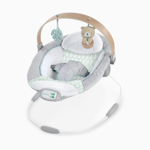 Ingenuity Cozy Spot Soothing Baby Bouncer