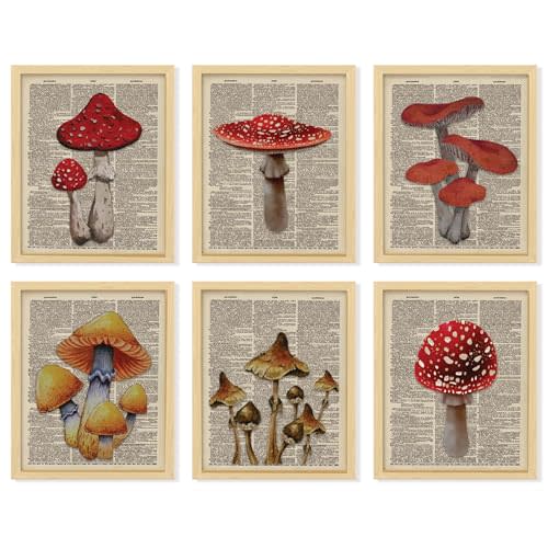 97 Decor Vintage Mushroom Poster - Mushroom Wall Decor, Retro Mushroom Wall Art Prints, Cottagecore Room Decor Aesthetic, Earthy Dictionary Mushroom Picture for Home Bedroom (8x10 UNFRAMED)