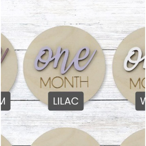 3D Monthly Milestone Discs for Baby Photos | Engraved Wood Monthly Milestone Markers | Personalized Baby Sign