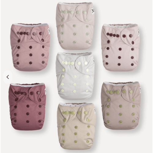 Ballet Slippers - Cloth Diapers