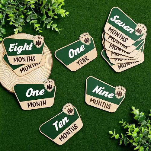 12 Pcs National Park Baby Monthly Photo Propz