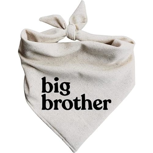 Dog Bandana Pregnancy Announcement Big Brother Baby Reveal Oatmeal Cream Minimal Neutral Color Announcement to Family (Medium)