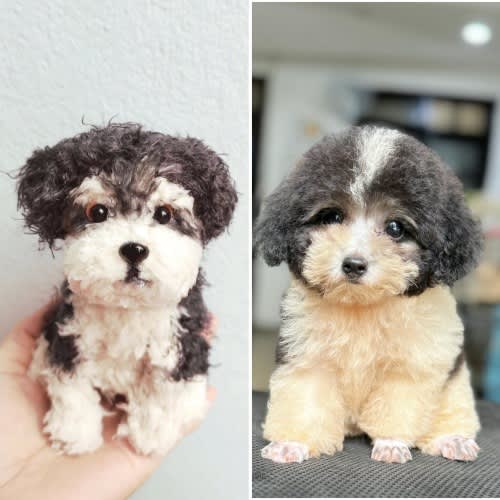 Custom Poodle Crochet Dog, Crochet Pet Memorial Custom Stuffed Dog Custom Stuffed Animal Look Alike Dog Personalized Dog Gift for Dog Lovers