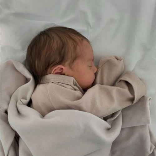 Parental Leave Fund