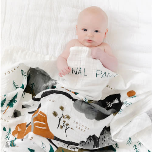 National Parks Swaddle