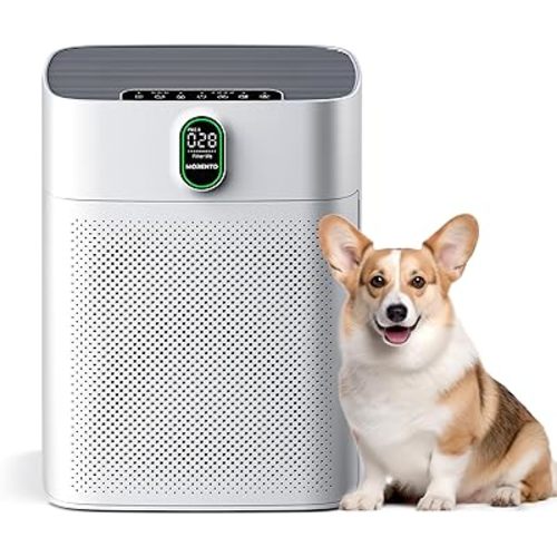 MORENTO Air Purifiers for Home Large Room up to 1076 Sq Ft with PM 2.5 Display Air Quality Sensor for Pet Hair, Double-Sided Air Inlet, 24db, White, 1 Pack + 2 Pack Filters
