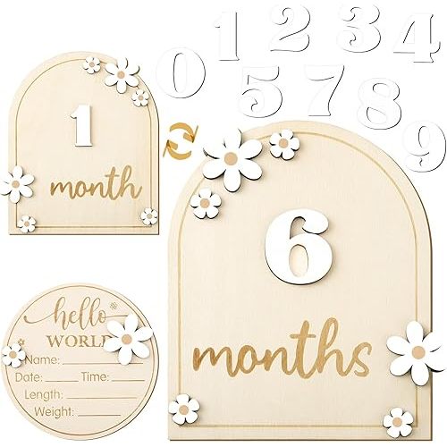 Baby Monthly Milestone Cards with Hello World Newborn Sign, Daisy Baby Milestone Signs Baby Monthly Milestone Wood Discs Baby Announcement Sign for Baby Growth Photo Props