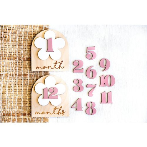 Wooden Monthly Milestone Baby Disc Baby Milestone Cards Monthly Milestone Markers for Baby Photos Baby Photo Prop Baby Shower Month Photos