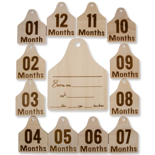 Wood Announcement Sign & 12 Milestone Signs