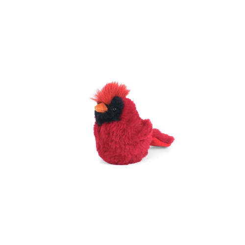 Crimson Cardinal | MON AMI