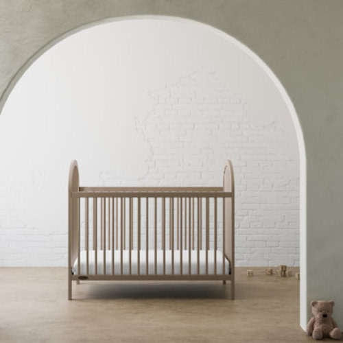 Graco Olivia 3-In-1 Convertible Crib & Reviews | Wayfair